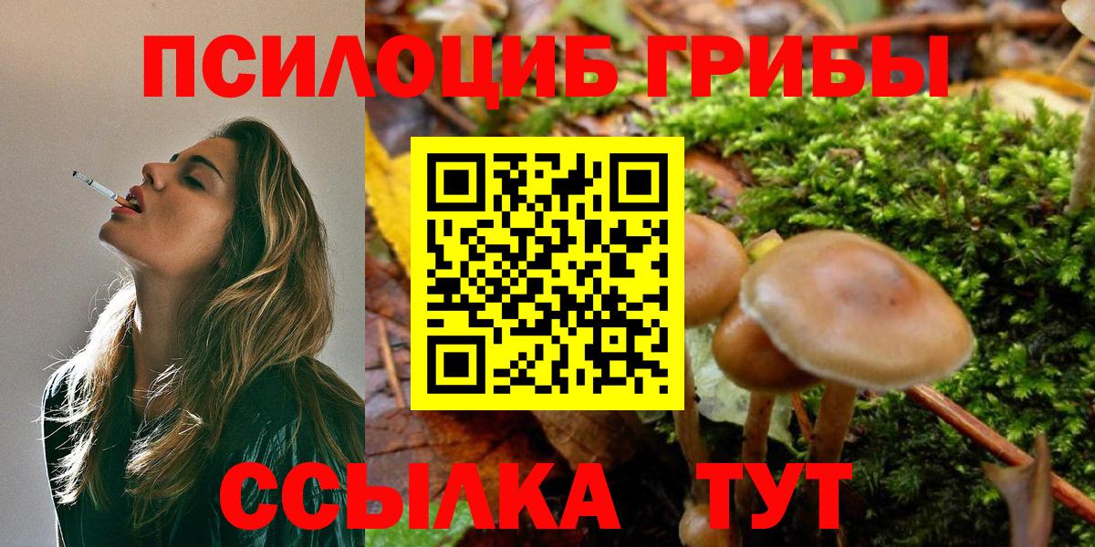 Галлюциногенные грибы Magic Shrooms Россия