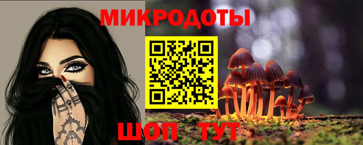 Россия  Галлюциногенные грибы MAGIC MUSHROOMS  Вход с VPN 